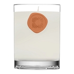 Beauty of Hope Harvest Candle 2oz 
